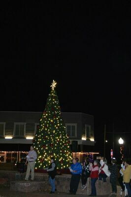 ALL IS BRIGHT - Fulton Mayor David Prater welcomed everyone to the Christmas in the Park event sponsored by Fulton Tourism on Dec. 4, in Pontotoc Park. The crowd counted down for the Christmas tree to be lit and kick-off events of the evening. (Photo by Barbara Atwill)