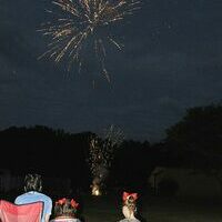 Two little girls enjoyed the view of fireworks launched by the David and Rachel Wynn family in South Fulton on July 3.