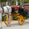 FREE CARRIAGE RIDES SATURDAY NIGHT AT DOWNTOWN FULTON'S PONTOTOC PARK